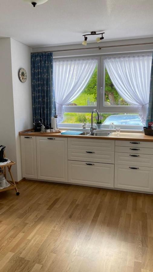 Steppacher Ferienappartements Friedenweiler Экстерьер фото